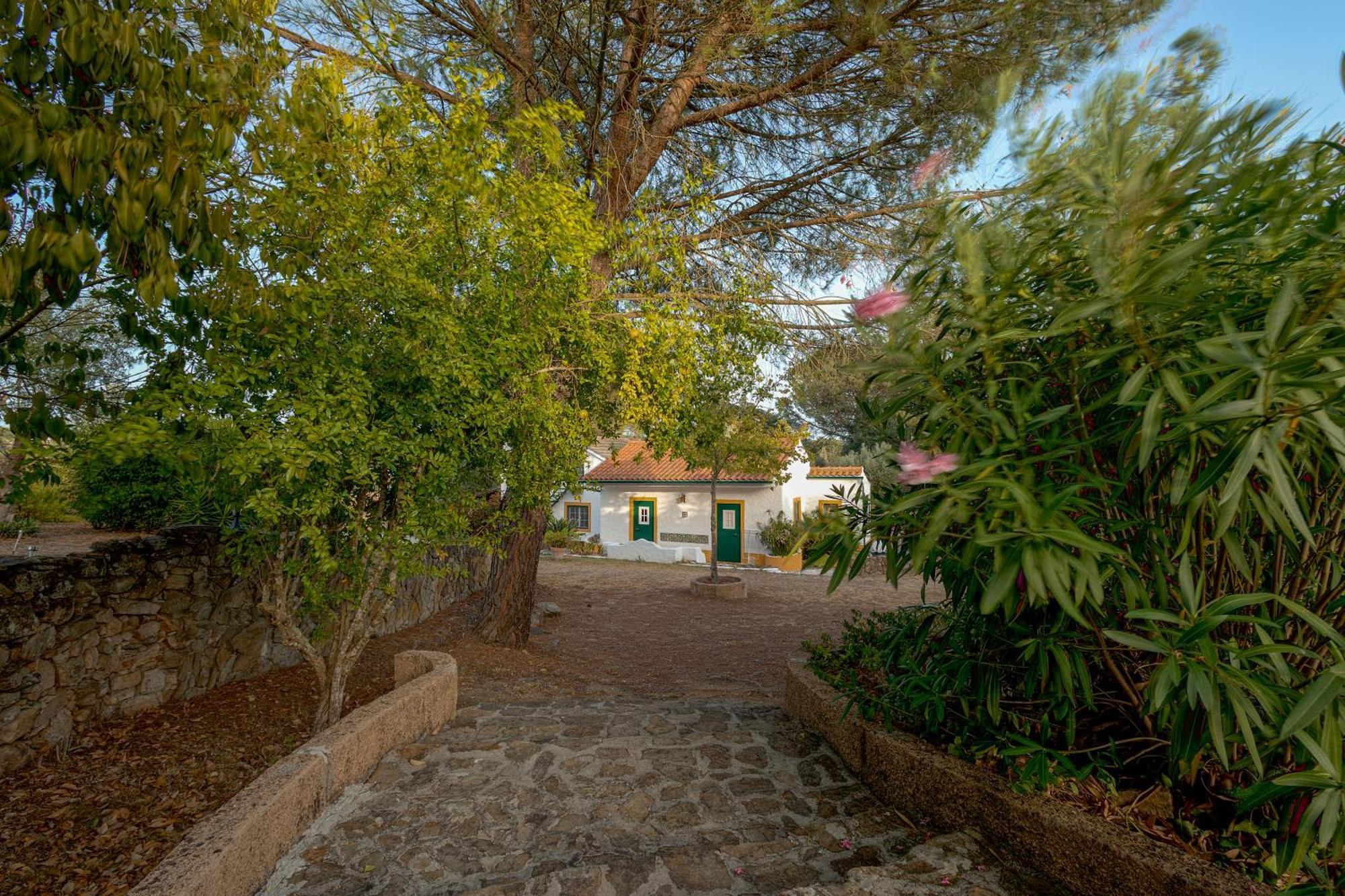 Vila Casa Do Vale Sao Pedro de Tomar Exteriér fotografie