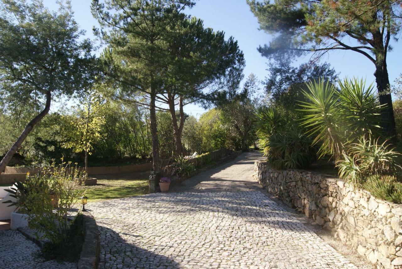 Vila Casa Do Vale Sao Pedro de Tomar Exteriér fotografie