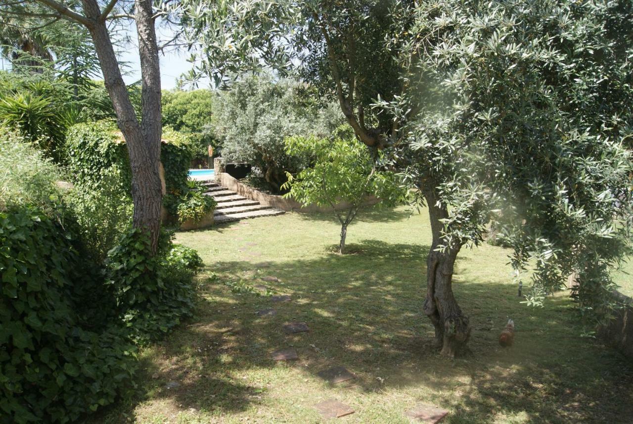 Vila Casa Do Vale Sao Pedro de Tomar Exteriér fotografie